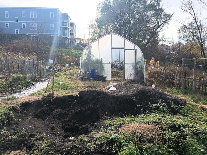 Produce and gardening space available to residents at Galego Court