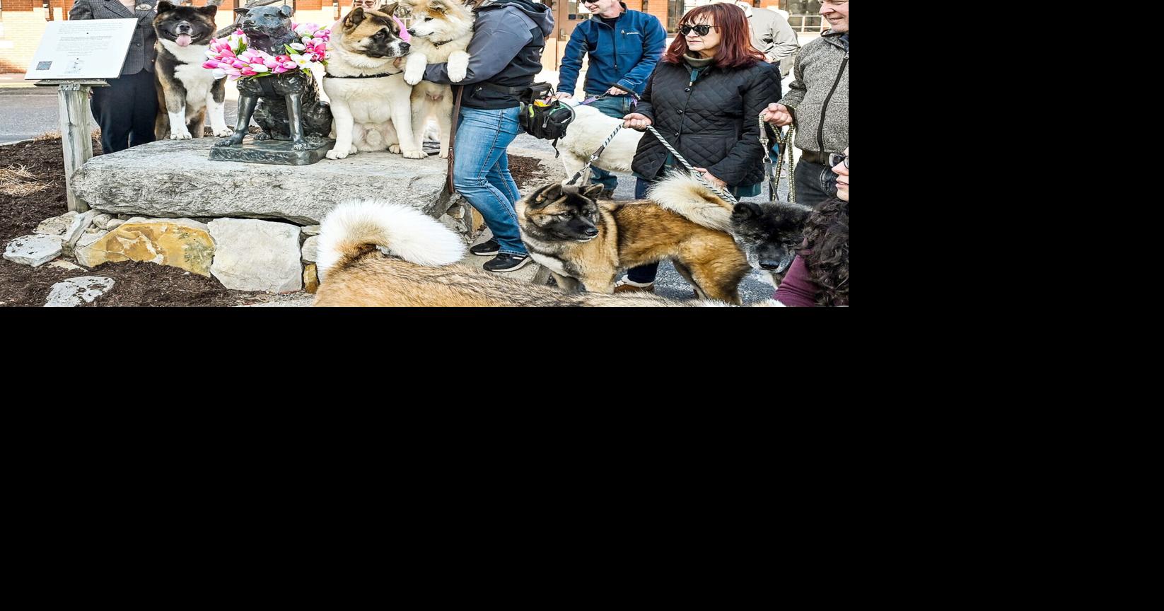 Woonsocket celebrates 100th birthday of Hachiko News