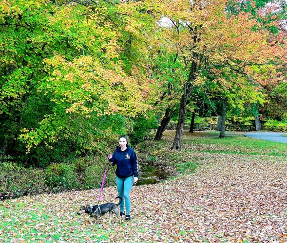 Fall Foliage at Slater Park