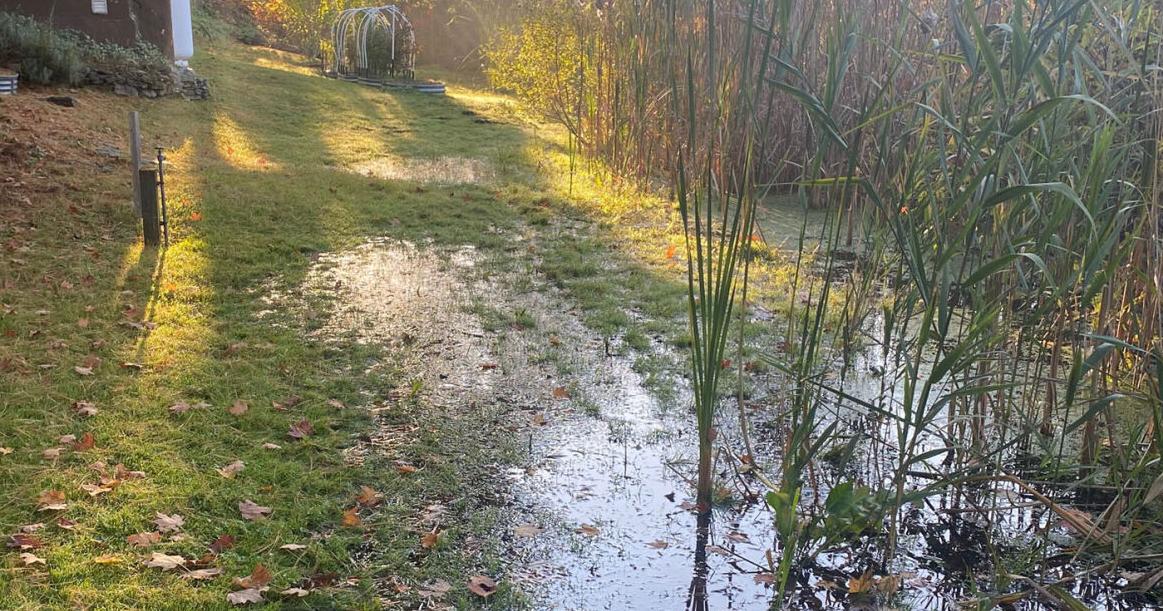 'Insurmountable' beaver troubles leave homeowners, Land Trust without answers for Cumberland flooding