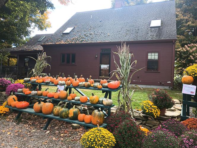 Great year for local food Northern RI farms thrive in this year's