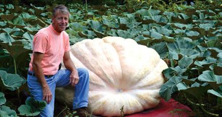 klowan Cumberland resident grows giant pumpkins, heads to fairs | News