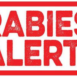 Rabies alert issued in North Smithfield - Vimarsana News