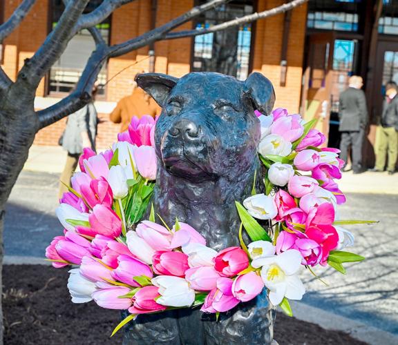 Woonsocket celebrates 100th birthday of Hachiko News