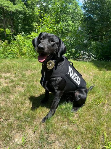 Glocester Police Department’s K-9 Tate