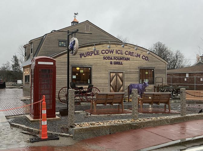 Costantino bringing back the good old times with Purple Cat | Lifestyle |  valleybreeze.com
