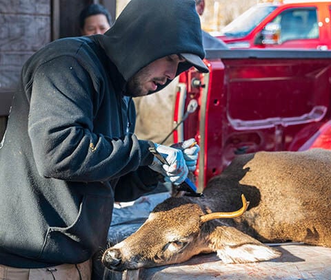 Too many anglers breaking rules, say Yukon conservation officers