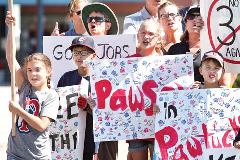 Future of PawSox tops the news of 2015 in Pawtucket, News