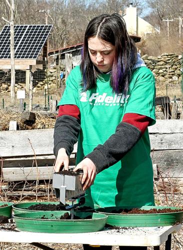 A soil blocking demonstration