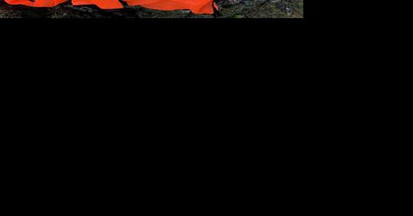 DEM reminds public to wear solid fluorescent orange during shotgun season - Vimarsana News
