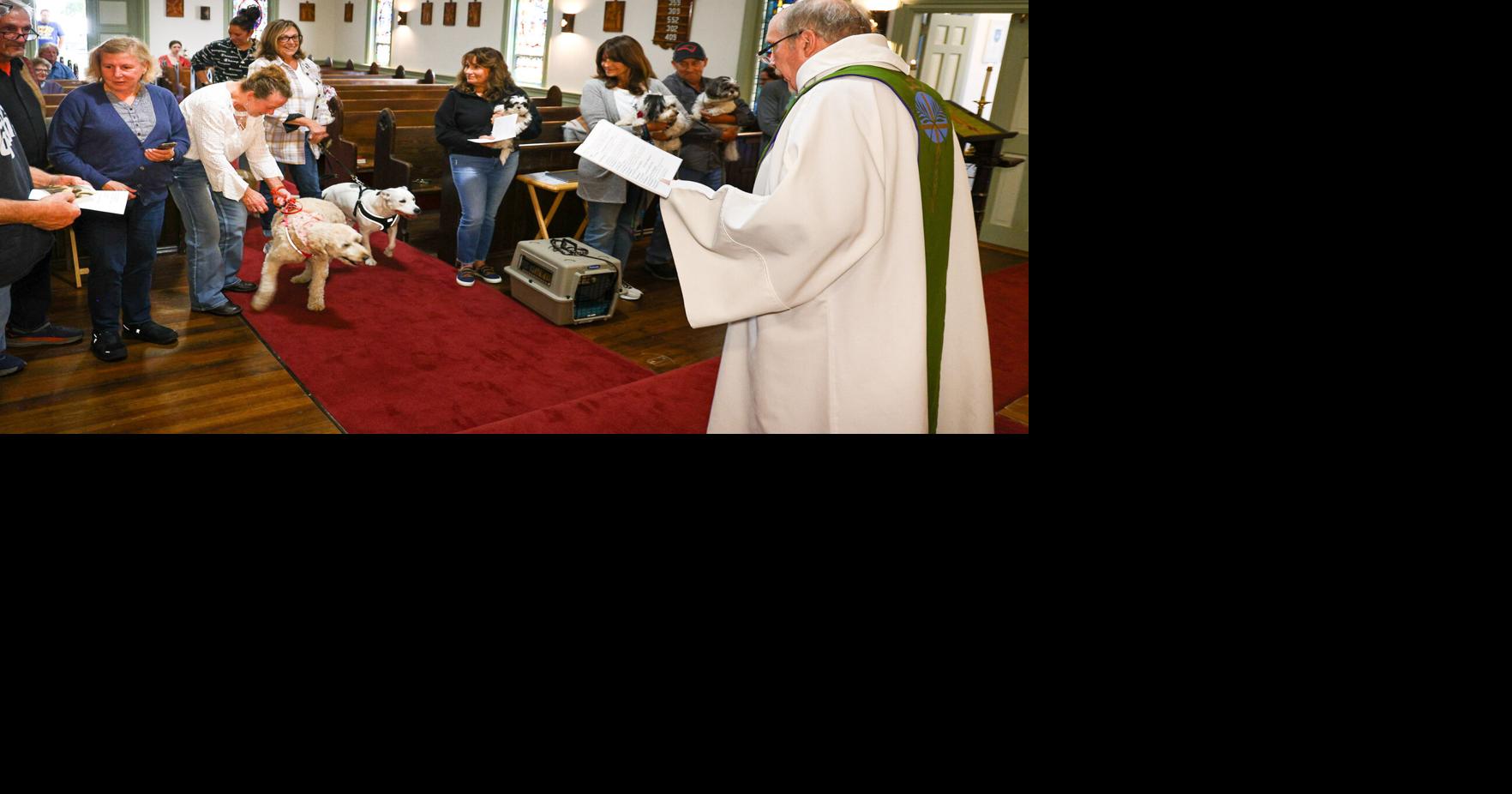 St. James in North Providence blesses the animals4