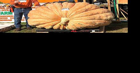 Klowan's titanic pumpkin was no accident | News | valleybreeze.com