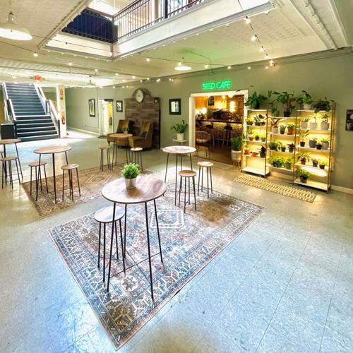 planting 4 o'clock seeds Four O'Clocks Seed Pack The Shops at Mount Vernon