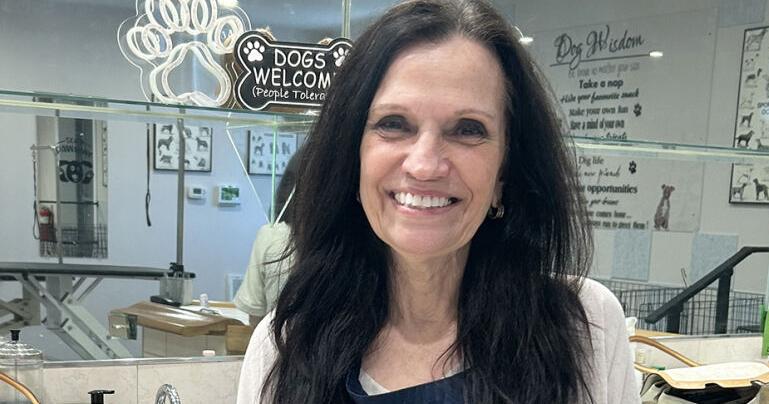 Pets II dog grooming 'still here,' says owner after move