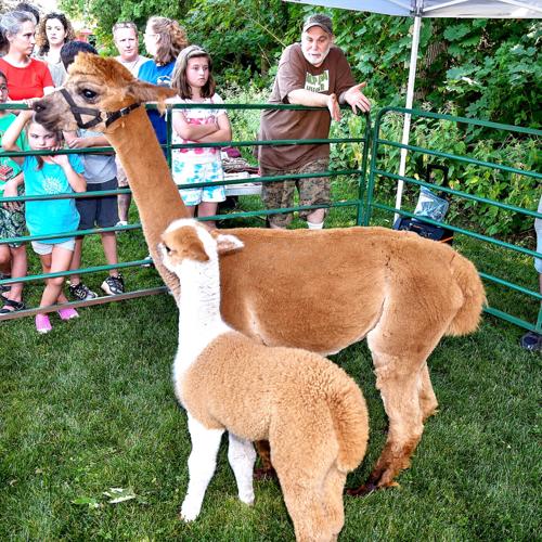 Meet Farmers and Alpacas program at Greenville Library | | valleybreeze.com