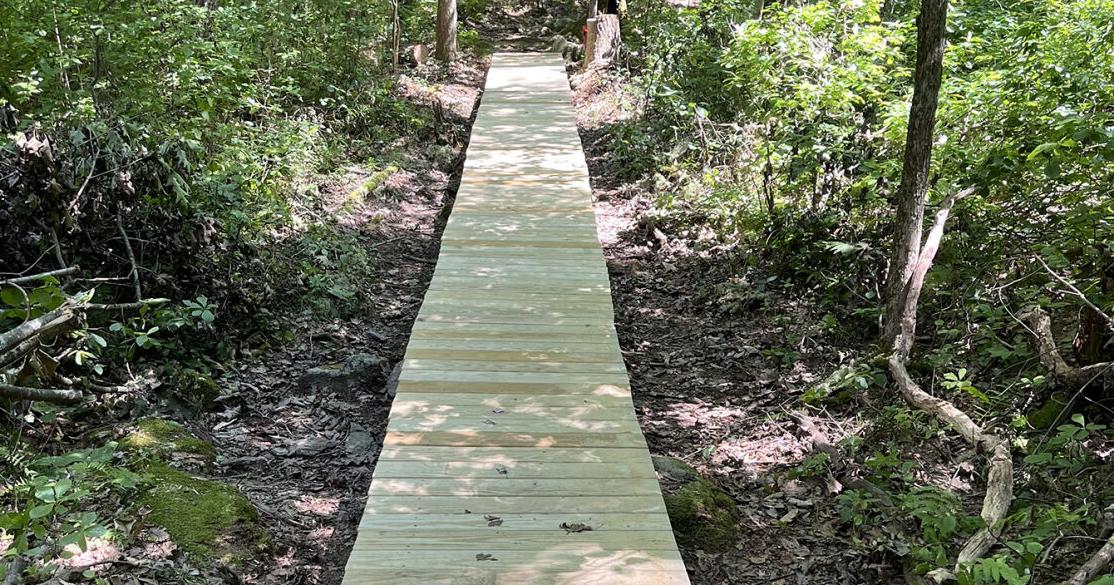 Smithfield Youth Corps completes wooden walkway at Mowry Conservation Area
