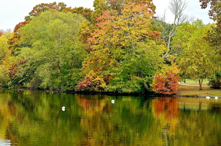 Fall Foliage at Slater Park