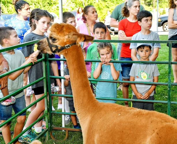 Meet Farmers and Alpacas program at Greenville Library | | valleybreeze.com