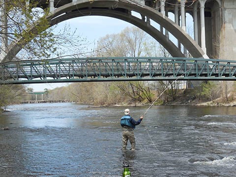 Trout Unlimited reeling in members, support for the environment
