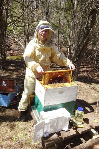 Rhode Island Beekeepers Association announces 2023 Bee School, Lifestyle