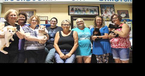 Woonsocket Cat Sanctuary marks 30 years of saving cats, talks increased challenges - Vimarsana News