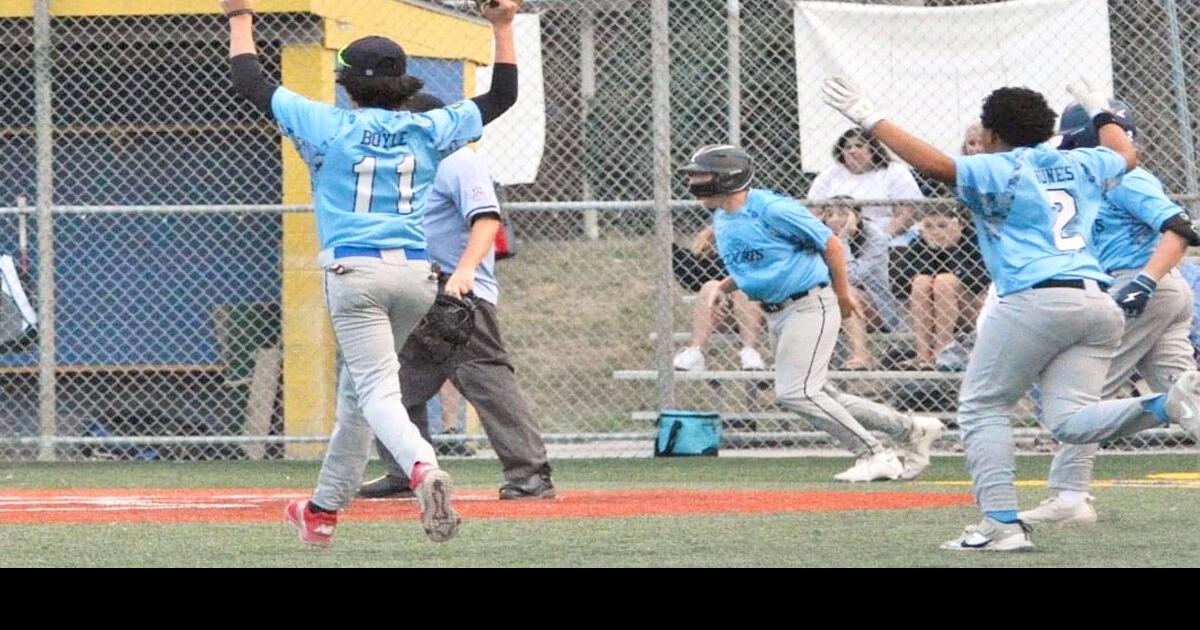 Pauly Penta's Deli, Courts Sporting Goods advance to Babe Ruth finals