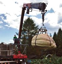 Cumberland resident grows giant pumpkins, heads to fairs | News |  valleybreeze.com