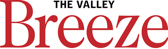The Valley Breeze reviewed I SEE YOU’VE CALLED IN DEAD here!