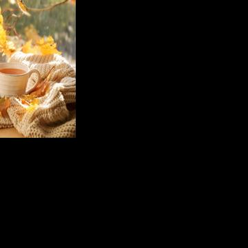 Embrace your tranquili-tea, from spice to nice, best leaves to brew