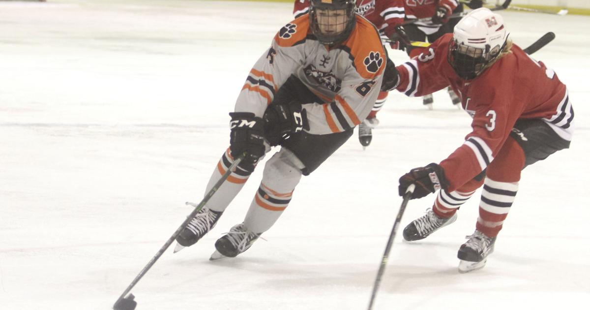 Hayden Roth Boys hockey: Verona earns split with Superior | Sports | veronapress.com