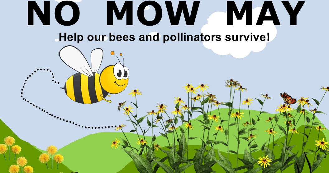 No mow may discount 2021