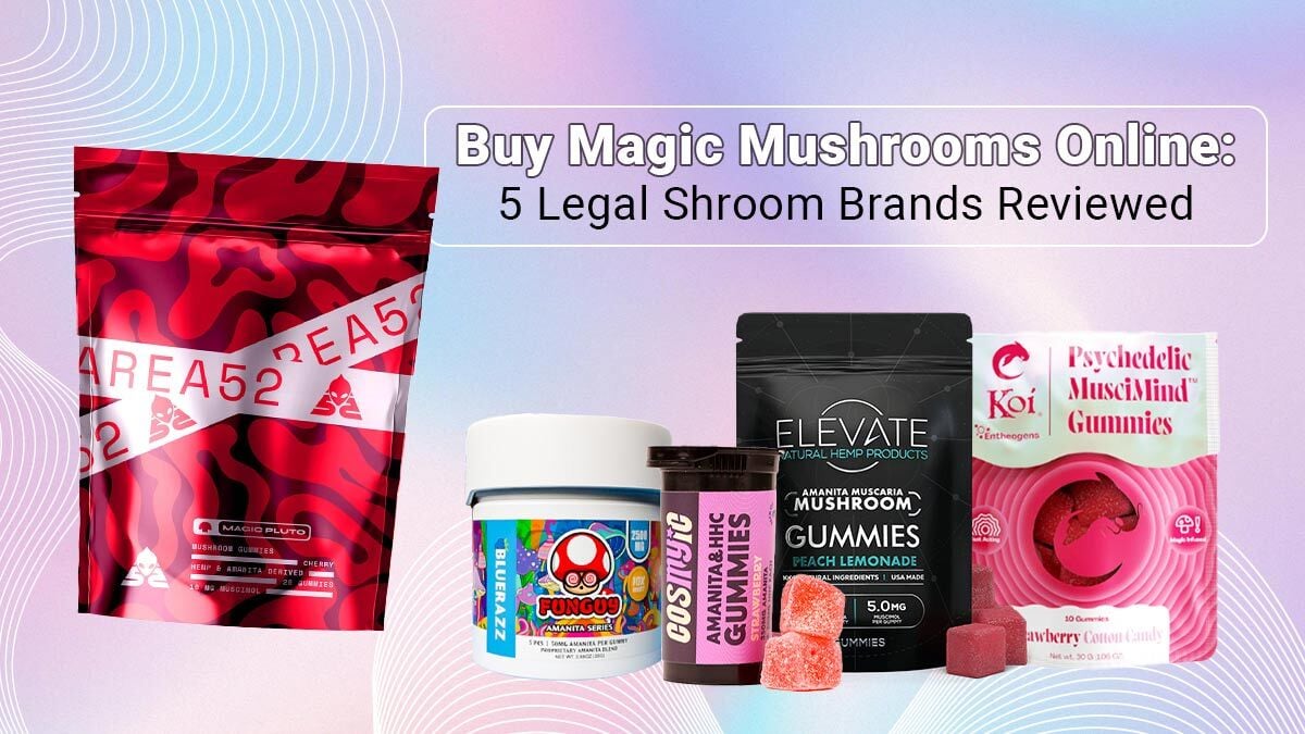 You Can Now Buy Magic Mushrooms Online 100 Legal Contributed