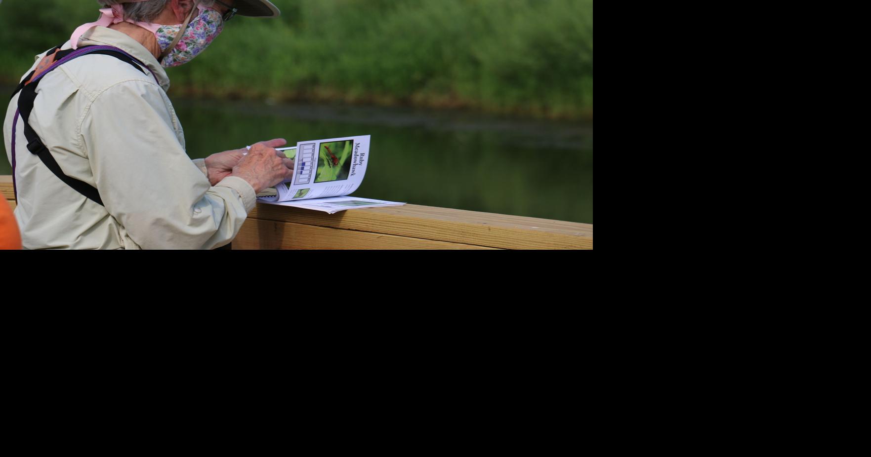 Dragonfly monitoring at Whalen Pond Community