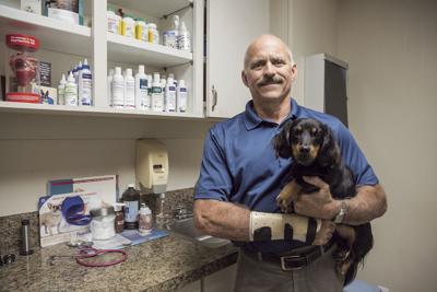 Best Veterinarian Dr Travis Schaar Main Street Animal Hospital Best Of The Best Victoriaadvocate Com