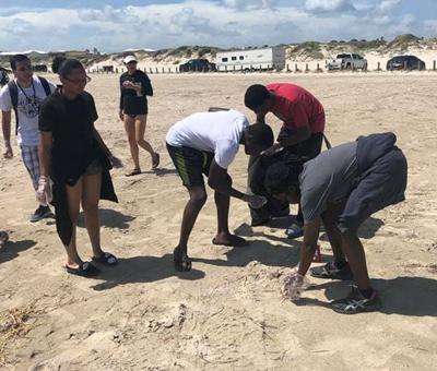 Beach Cleanup 2019