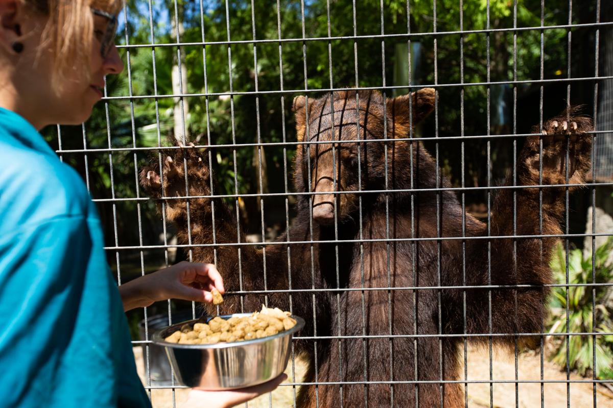 Texas Zoo brings life to community, connects visitors with wildlife