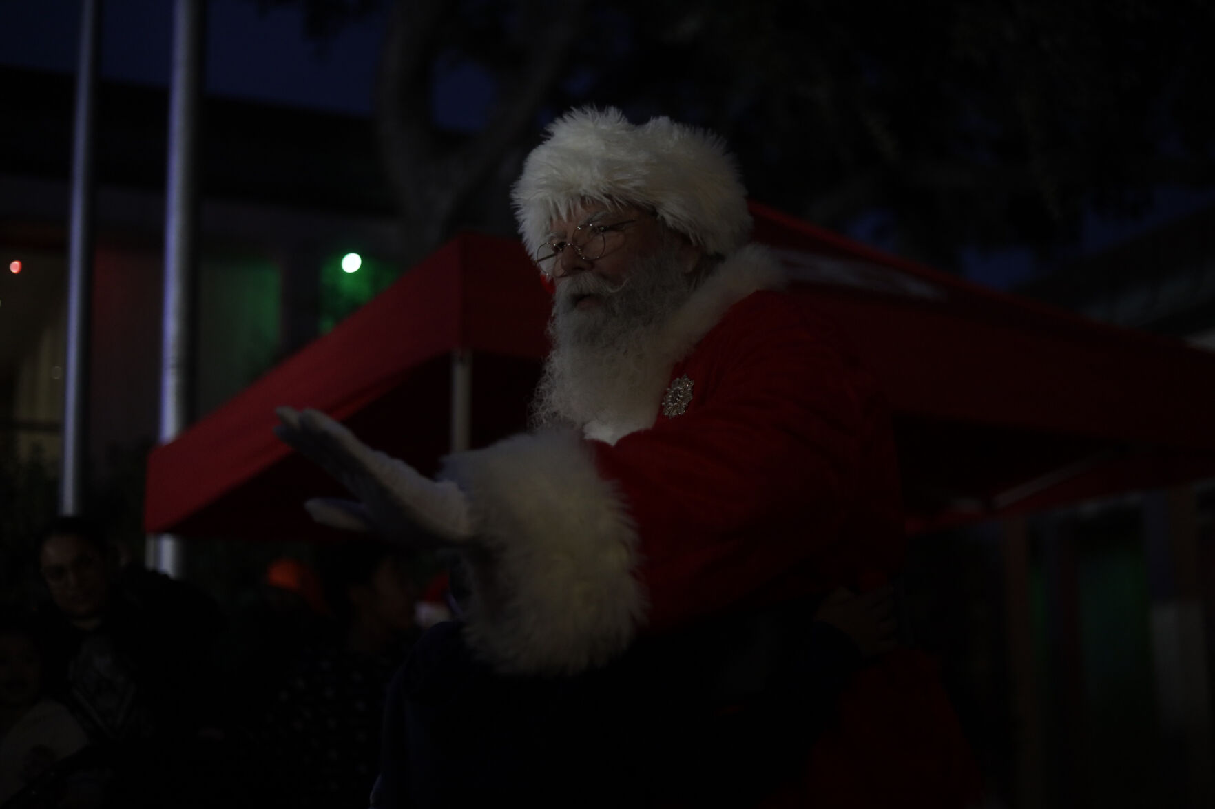 Christmas Tree Lighting Dazzles Downtown With Cheer | For Subscribers ...