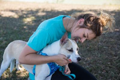 San Antonio Turned Its Animal Shelter Around Can Victoria News Victoriaadvocate Com