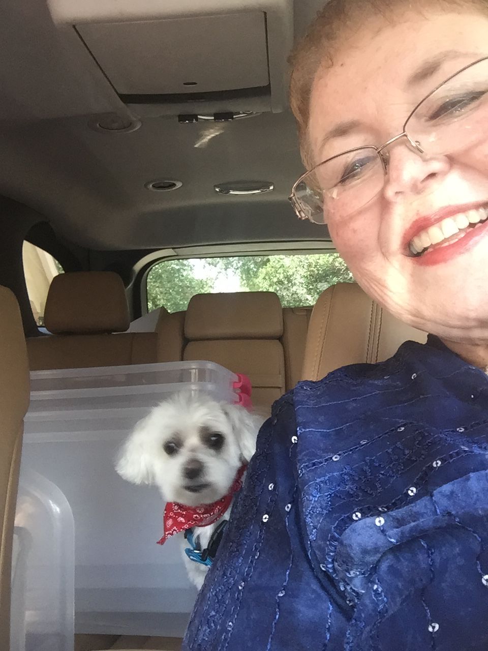 Owner-dog selfies: Oliver gets a haircut!