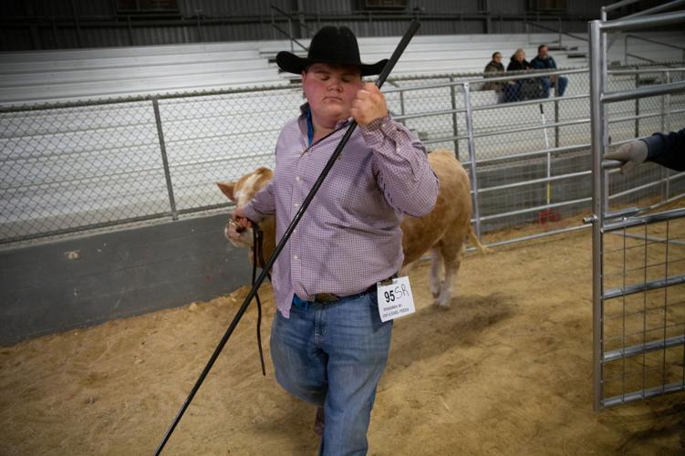 Gallery: 2022 Victoria Livestock Show Day 3 | Photo Galleries ...