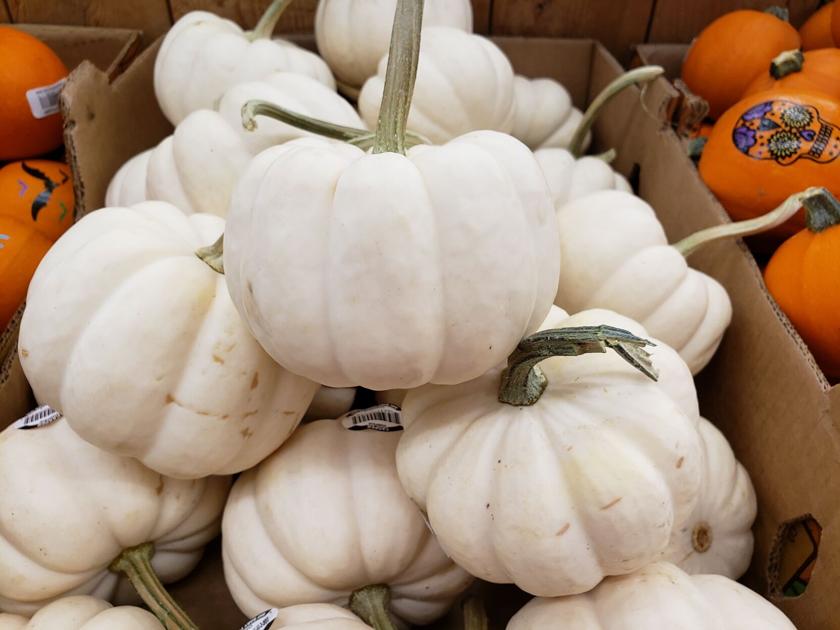 Gardeners’ Dirt: Growing non-traditional colored vegetables | Home And Garden Gardeners’ Dirt: Growing non-traditional colored vegetables | Home And Garden