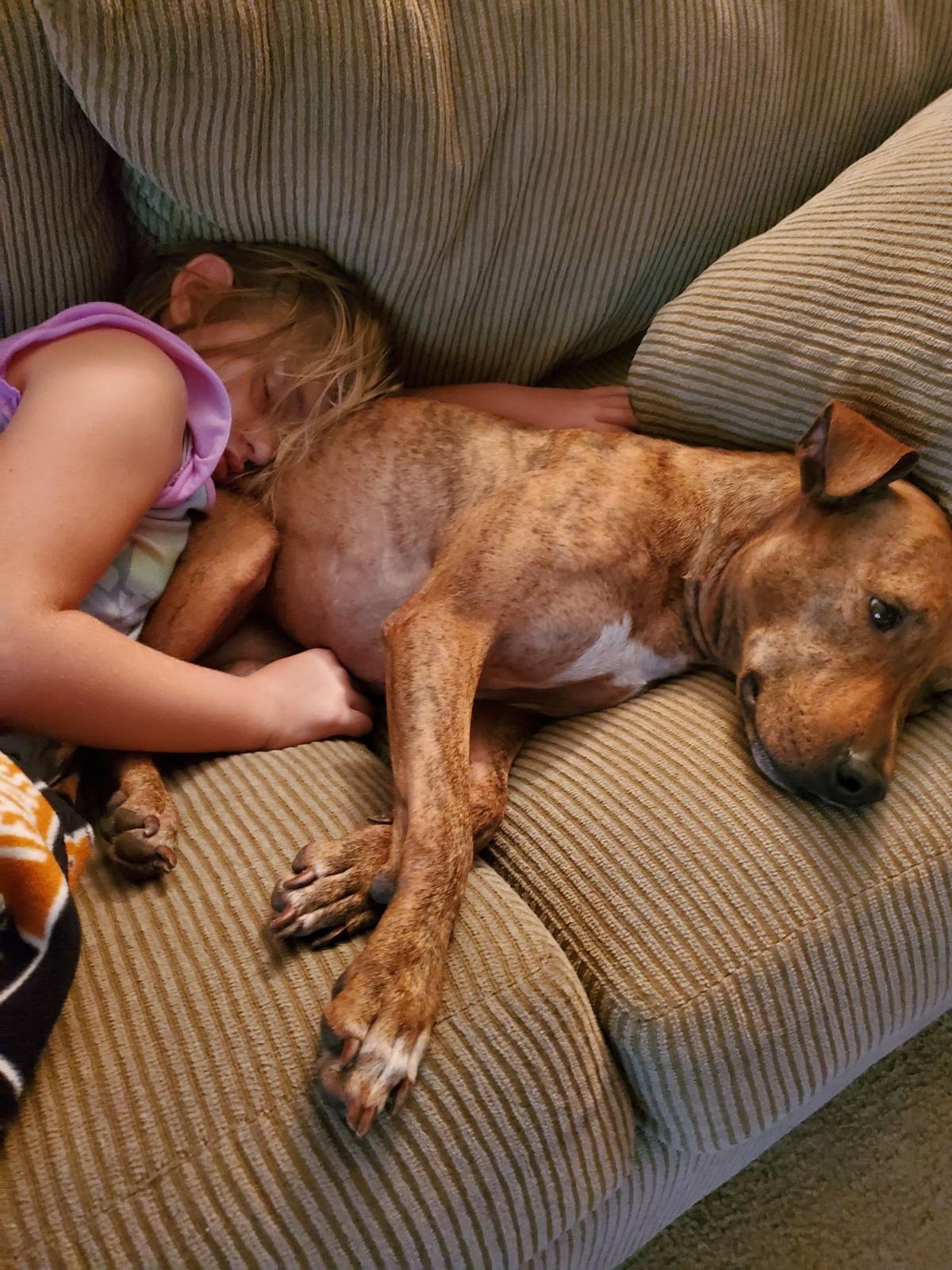 Owner-dog selfies:The love of a rescue