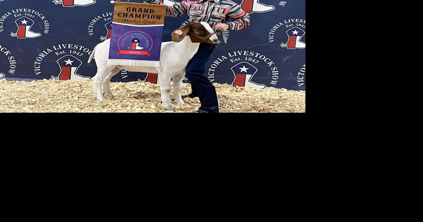 Victoria Livestock Show Day 3 winners | Photo Galleries ...