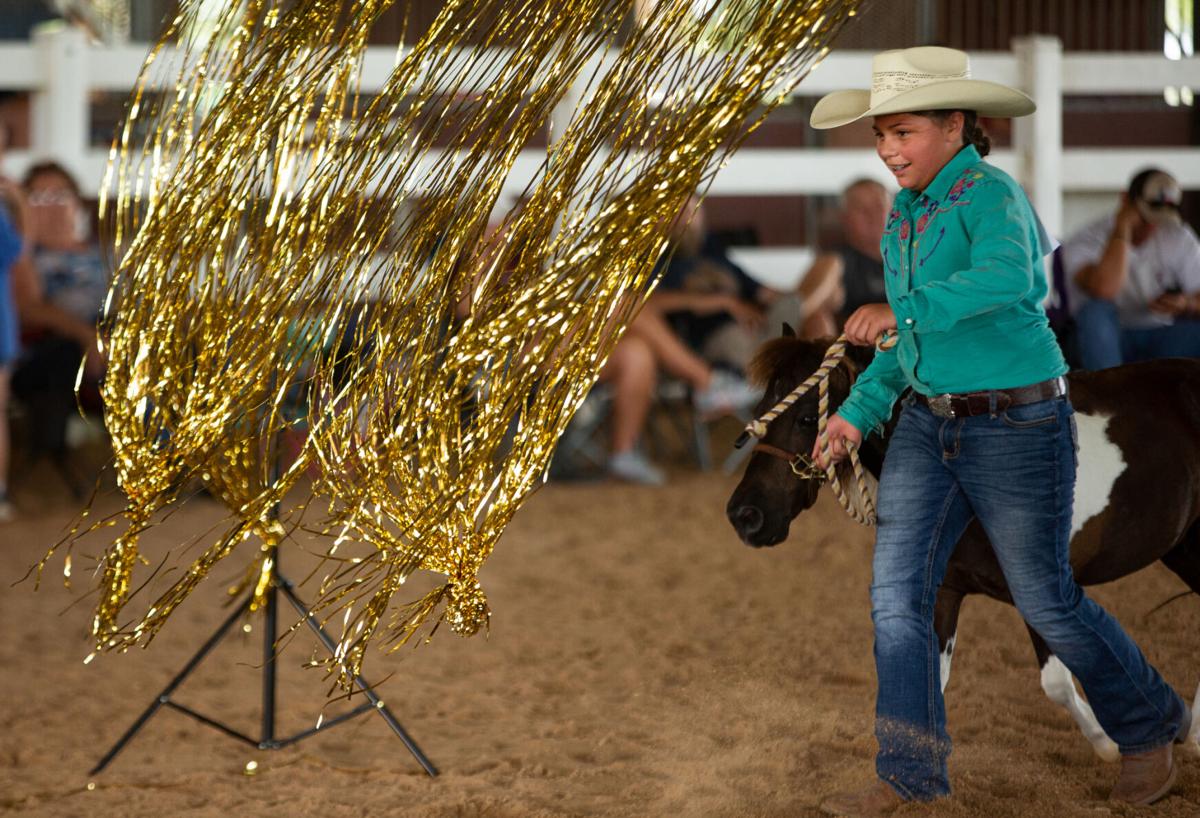 South Texas Shetland Pony Show Photo Galleries