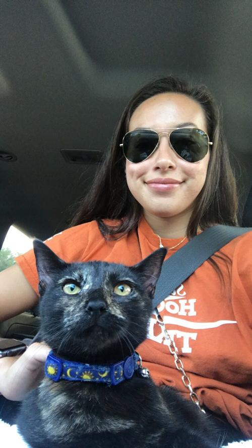 Cat selfies: Sassy and Avery