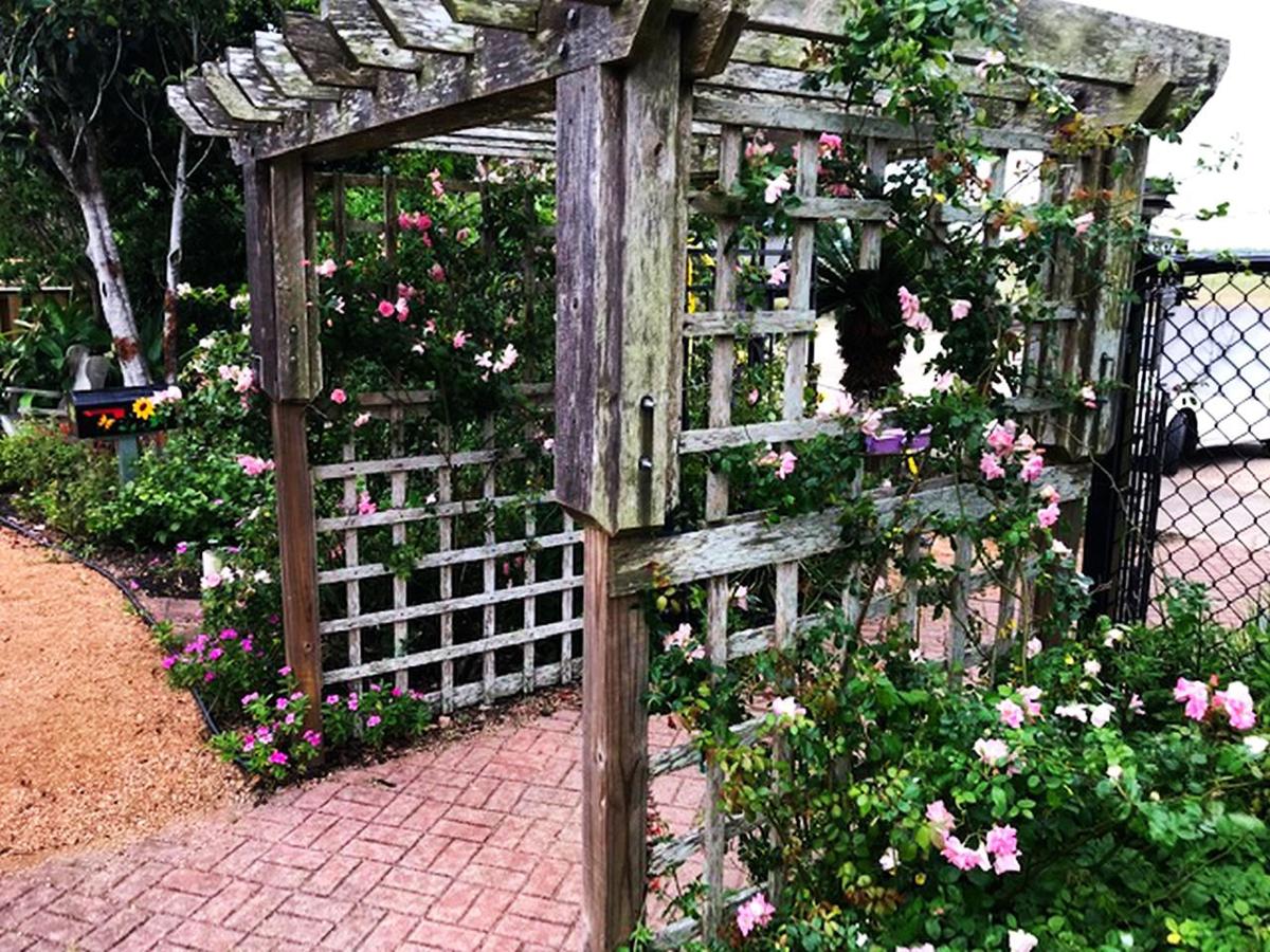 Choosing The Right Trellis For Your Landscape Home And Garden Victoriaadvocate Com Choosing The Right Trellis For Your Landscape Home And Garden Victoriaadvocate Com