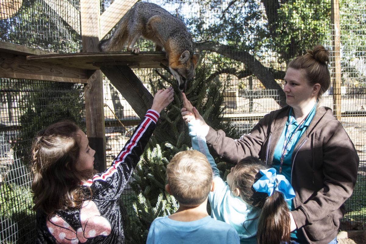 Texas Zoo Holds Winter Research Camp For Local Students
