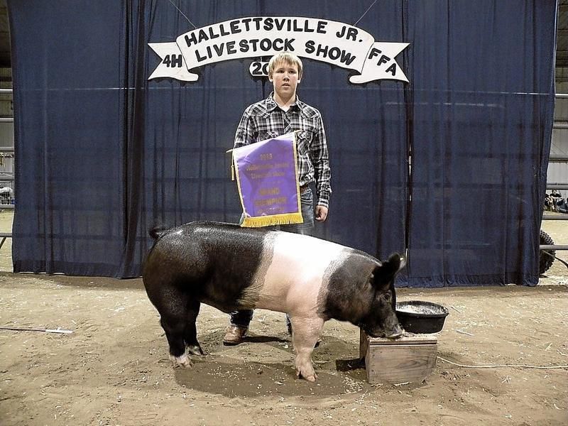 Sales record set at Hallettsville Livestock Show Lavaca