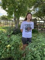 Gardens: Cathy and her tomatoes
