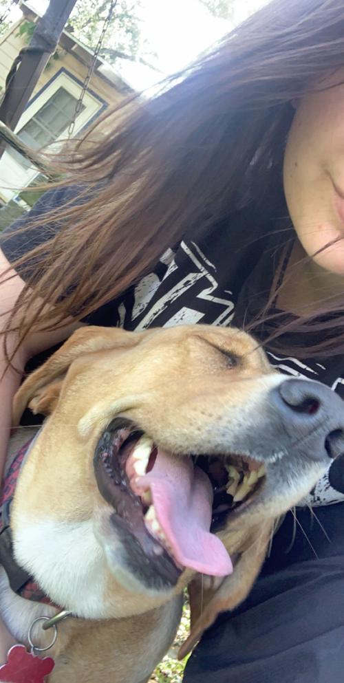 Owner-dog selfies: Bliss